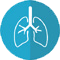 The best Homeopathy Treatment for Bronchitis 