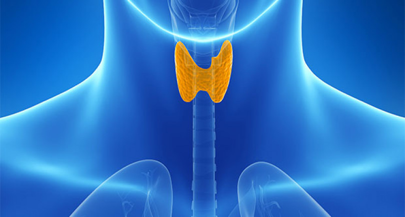 homeopathy_for_thyroid_diseases