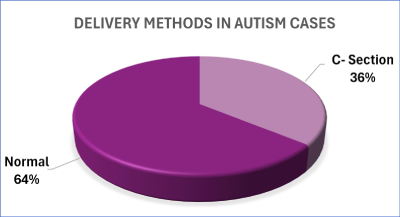 Delivery Methods In Autism Case (2)