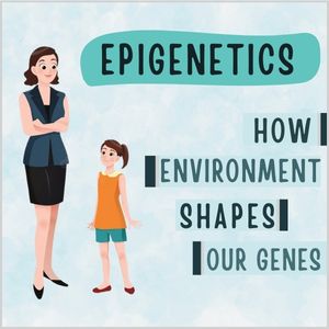 Epigenetics How Environment Shapes Our Genes