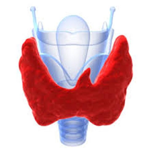 Hyperthyroidism