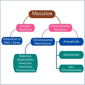 Types-of-Genetic-disease